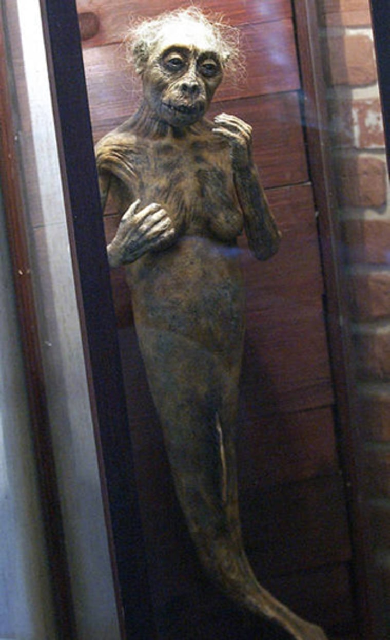 In 2003, Loren Coleman opened the International Cryptozoology Museum in Portland, Maine. 